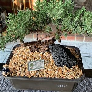 Meet your Posher, Jack